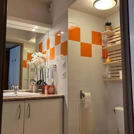 Appartement Au Pied Du Pic Canigou Vernet-les-Bains